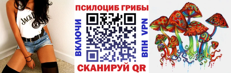 Купить  Заинск  Псилоцибиновые грибы Psilocybine cubensis 